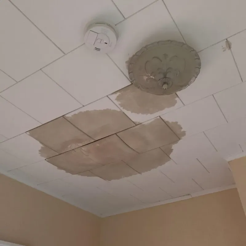 Ceiling Water Damage Repair in Babbitt, MN